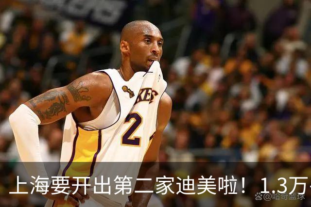 上海要开出第二家迪美啦！1.3万平方米、海量谷子店，年底亮相