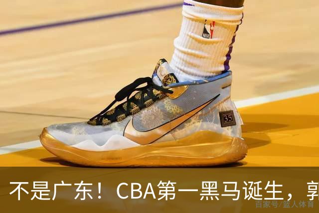 不是广东！CBA第一黑马诞生，郭士强接班人崛起，辽篮惊喜