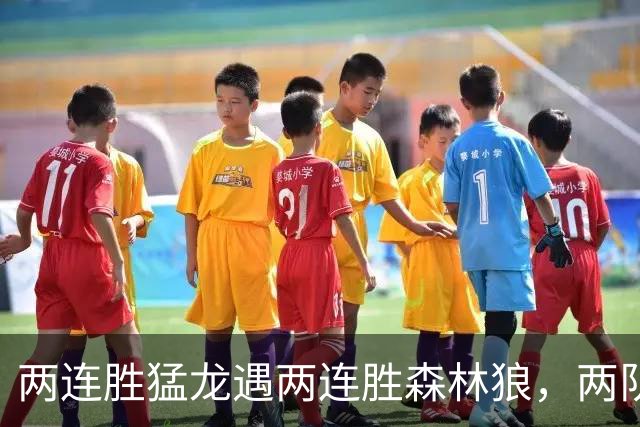 两连胜猛龙遇两连胜森林狼，两队都想保住不败金身