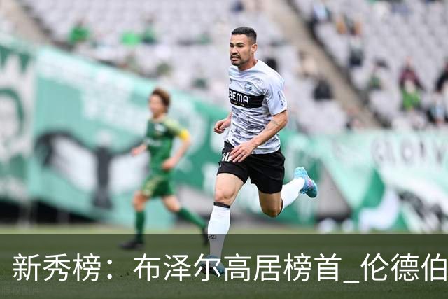 新秀榜：布泽尔高居榜首 伦德伯格、威尔逊分列二三