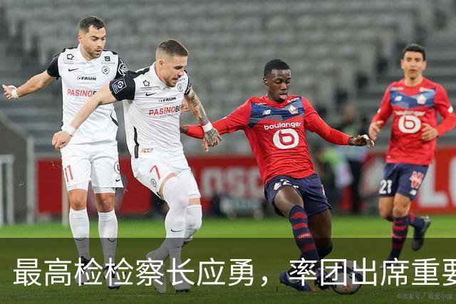 最高检检察长应勇，率团出席重要会议