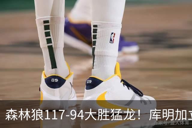 森林狼117-94大胜猛龙！库明加立大功，此战看到4个事实：8换2交易很值得