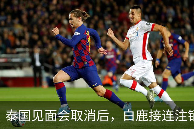 泰国见面会取消后，白鹿接连注销名下三家公司，网友：果然有猫腻
