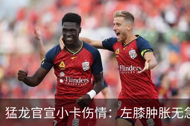 猛龙官宣小卡伤情：左膝肿胀无急性损伤 一周后评估预计缺席数周