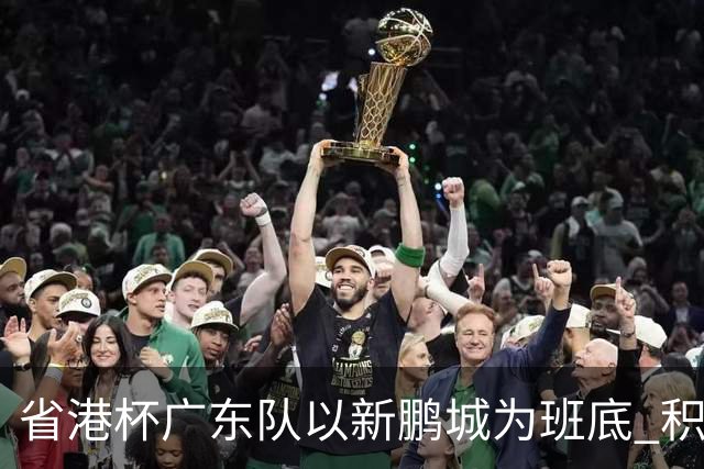 省港杯广东队以新鹏城为班底 积极协调拜合拉木参赛