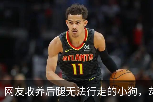 网友收养后腿无法行走的小狗，却在喂食时发现狗子居然能够正常行走…医生：你俩逗我呢？没病少折腾…