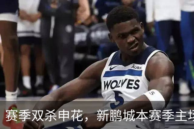 赛季双杀申花，新鹏城本赛季主场圆满收官