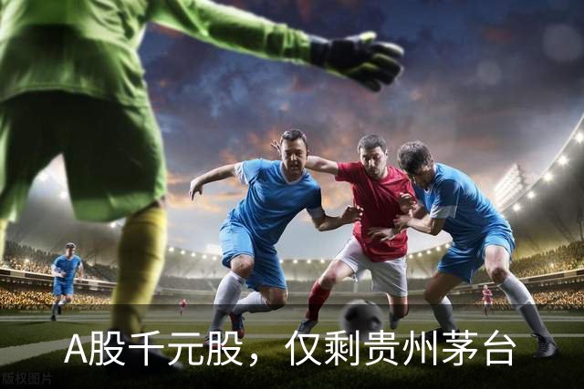A股千元股，仅剩贵州茅台